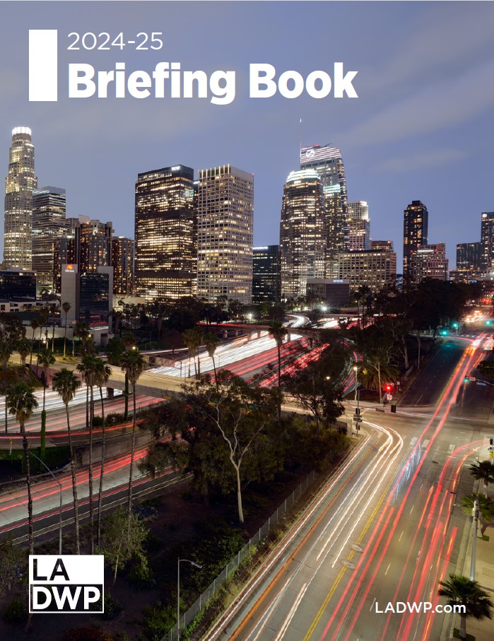The Los Angeles city skyline at night with blurred streaks of street traffic visible in white and red. Text also reads 2024 2025 Briefing Book.