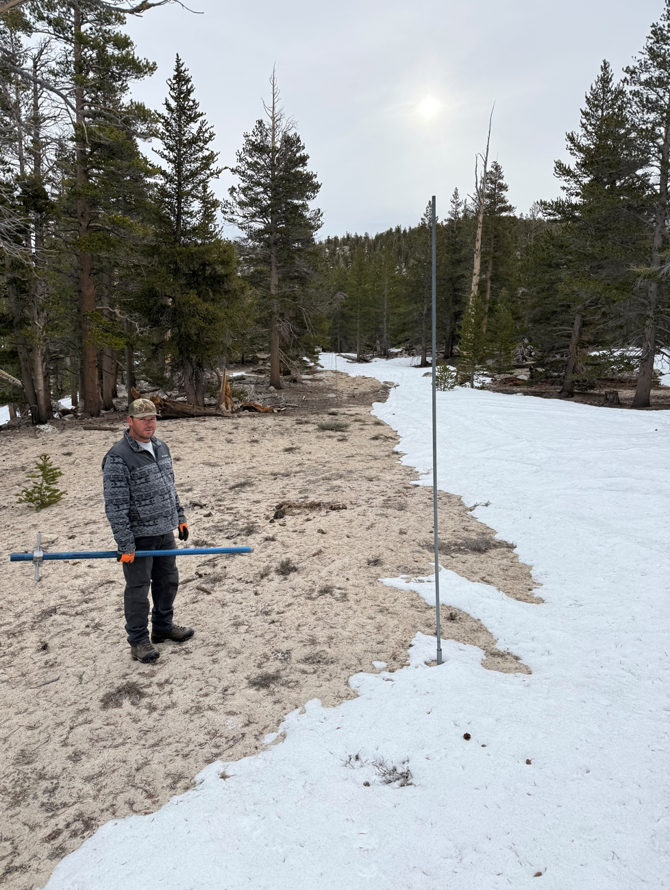 A man stands on bare ground next to snow in a forest, holding a long measuring tool next to a tall snow-depth pole.